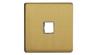 Keystone/USB Data tinklelio plokštė Žalvaris XEBD1S Keystone/USB Data tinklelio plokštė Žalvaris XEBD1S Varilight