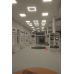  Frame LED panelė 40W kvadratinė 40W neutraliai balta 249181 LED Line