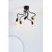 Lubinis &scaron;viestuvas Medusa Ceiling 5L Black 107931 Markslojd
