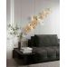 Sieninis &scaron;viestuvas Allure Wall 10L W0354 Maxlight