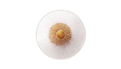Sieninis &scaron;viestuvas Allure Wall 1L Clear Glass W0356 Maxlight