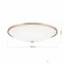 Lubinis šviestuvas Aida Ceiling 56 Brass DL 7-531/56 Lubinis šviestuvas Aida Ceiling 56 Brass DL 7-531/56 Orion