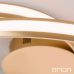 Lubinis &scaron;viestuvas Circus LED Ceiling Satin Brass DL 7-638 MS-matt Orion