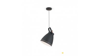 Pakabinamas šviestuvas Theke Pendant 1 HL 6-1689/1 Pakabinamas šviestuvas Theke Pendant 1 HL 6-1689/1 Orion