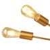 Pakabinamas &scaron;viestuvas Alpha 2906-6GO Searchlight Electric
