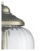 Pakabinamas šviestuvas Pineapple 1091AB Pakabinamas šviestuvas Pineapple 1091AB Searchlight Electric