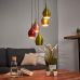 Pakabinamas &scaron;viestuvas Vibrant 6465-5 Searchlight Electric