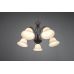 Pakabinamas &scaron;viestuvas Rustica chandelier 5-pc. E27 Rustic 101000524 TRIO Lighting