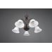 Pakabinamas &scaron;viestuvas Rustica chandelier 5-pc. E27 Rustic 101000524 TRIO Lighting