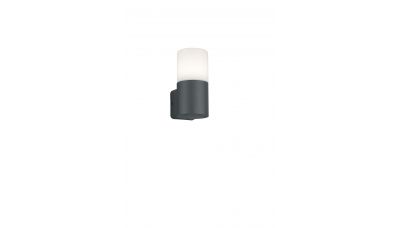 Sieninis &scaron;viestuvas Hoosic Wall 1-pc. E27 Anthracite 224060142 TRIO Lighting