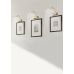 Sieninis &scaron;viestuvas Curtis LED Wall Matt Brass 279770108 TRIO Lighting