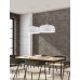 Pakabinamas šviestuvas Baron 309800431 Pakabinamas šviestuvas Baron 309800431 TRIO Lighting