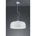 Pakabinamas šviestuvas Baron 309800431 Pakabinamas šviestuvas Baron 309800431 TRIO Lighting