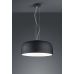 Pakabinamas šviestuvas Baron 309800432 Pakabinamas šviestuvas Baron 309800432 TRIO Lighting