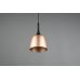 Pakabinamas &scaron;viestuvas Chiron Pendant E27 20cm Matt Brass 310800108 TRIO Lighting