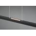 Pakabinamas &scaron;viestuvas Belfast LED Pendant Black 375510432 TRIO Lighting