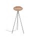 Toršeras Hedda Floor Lamp E27 Matt Black-Sisal 412300136 Toršeras Hedda Floor Lamp E27 Matt Black-Sisal 412300136 TRIO Lighting