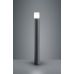 Pastatomas &scaron;viestuvas Hoosic Pole 80cm E27 Anthracite 424060142 TRIO Lighting