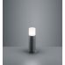 Pastatomas &scaron;viestuvas Hoosic Pole 30cm E27 Anthracite 524060142 TRIO Lighting
