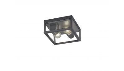 Lubinis &scaron;viestuvas Garonne Ceiling Anthracite 2 x E27 601860242 TRIO Lighting