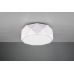 Lubinis &scaron;viestuvas Zandor 603500331 TRIO Lighting