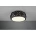 Lubinis &scaron;viestuvas Zandor 603500332 TRIO Lighting