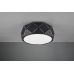 Lubinis &scaron;viestuvas Zandor 603500332 TRIO Lighting