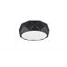 Lubinis &scaron;viestuvas Zandor 603500332 TRIO Lighting