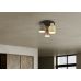 Lubinis šviestuvas Agudo Ceiling 3-pc E27 Multicolor 619430317 Lubinis šviestuvas Agudo Ceiling 3-pc E27 Multicolor 619430317 TRIO Lighting