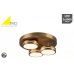 Lubinis &scaron;viestuvas Franklin LED Ceiling Lamp Antique Brass 626510304 TRIO Lighting