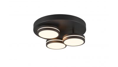 Lubinis &scaron;viestuvas Franklin LED Ceiling Lamp Anthracite 626510342 TRIO Lighting