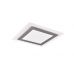 Lubinis &scaron;viestuvas Morgan LED Ceiling 45x45 cm White/Brushed Steel 641510207 TRIO Lighting