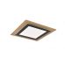 Lubinis &scaron;viestuvas Morgan LED Ceiling 45x45 cm Matt Black/Gold 641510280 TRIO Lighting