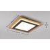 Lubinis &scaron;viestuvas Morgan LED Ceiling 45x45 cm Matt Black/Gold 641510280 TRIO Lighting
