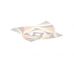 Lubinis &scaron;viestuvas Akita LED Ceiling White 647110131 TRIO Lighting