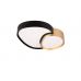 Lubinis &scaron;viestuvas Rise LED Ceiling 21W Black-Gold 647510280 TRIO Lighting