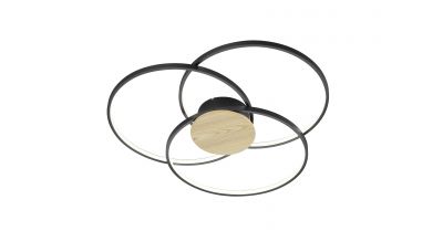 Lubinis šviestuvas Sedona Ceiling 673210332 Lubinis šviestuvas Sedona Ceiling 673210332 TRIO Lighting