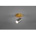 Lubinis/Sieninis šviestuvas Marley Spot 1-pc. GU10 Steel/Wood 812400107 Lubinis/Sieninis šviestuvas Marley Spot 1-pc. GU10 Steel/Wood 812400107 TRIO Lighting