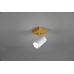 Lubinis/Sieninis šviestuvas Marley Spot 1-pc. GU10 White/Wood 812400131 Lubinis/Sieninis šviestuvas Marley Spot 1-pc. GU10 White/Wood 812400131 TRIO Lighting