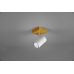 Lubinis/Sieninis šviestuvas Marley Spot 1-pc. GU10 White/Wood 812400131 Lubinis/Sieninis šviestuvas Marley Spot 1-pc. GU10 White/Wood 812400131 TRIO Lighting