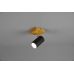 Lubinis/Sieninis šviestuvas Marley Spot 1-pc. GU10 Black/Wood 812400132 Lubinis/Sieninis šviestuvas Marley Spot 1-pc. GU10 Black/Wood 812400132 TRIO Lighting