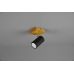 Lubinis/Sieninis šviestuvas Marley Spot 1-pc. GU10 Black/Wood 812400132 Lubinis/Sieninis šviestuvas Marley Spot 1-pc. GU10 Black/Wood 812400132 TRIO Lighting