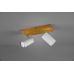 Lubinis/Sieninis &scaron;viestuvas Marley Spot 2-pc. GU10 White/Wood 812400231 TRIO Lighting