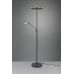 Tor&scaron;eras Franklin LED Floor Lamp Uplighter Anthracite 426510242 TRIO Lighting