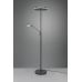 Tor&scaron;eras Franklin LED Floor Lamp Uplighter Anthracite 426510242 TRIO Lighting
