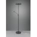 Tor&scaron;eras Franklin LED Floor Lamp Uplighter Anthracite 426510242 TRIO Lighting