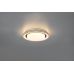 Lubinis &scaron;viestuvas Atria LED Ceiling Lamp 27 cm Matt Black R67042832 TRIO Lighting