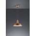 Pakabinamas &scaron;viestuvas Will R30421062 TRIO Lighting