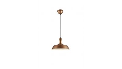 Pakabinamas &scaron;viestuvas Will R30421062 TRIO Lighting
