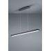 Pakabinamas &scaron;viestuvas Agano R32801132 TRIO Lighting
